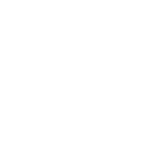 Next.js Logo